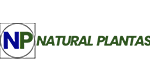client_naturalplantas